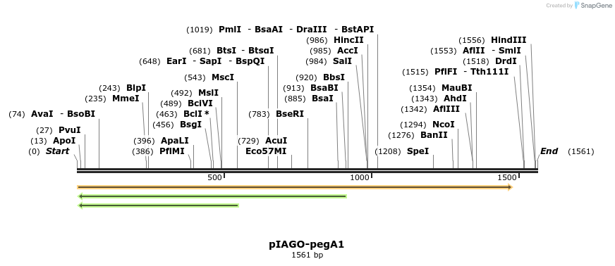 216026_map
