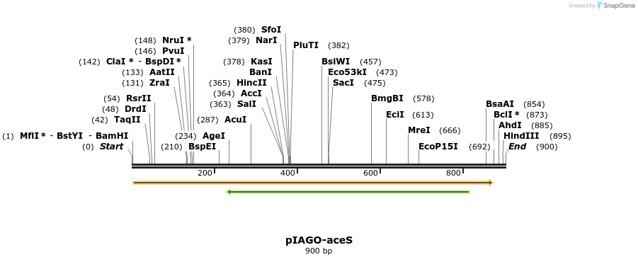 216027_map