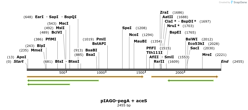 216028_map