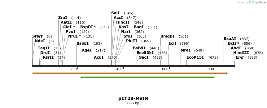 216029_map