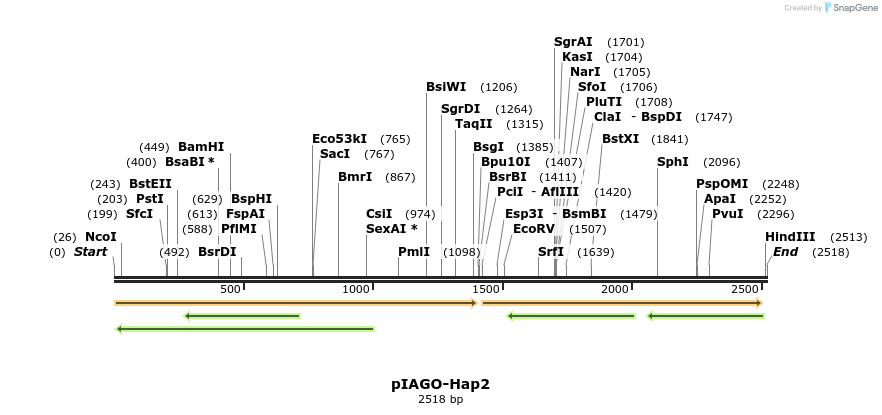 216031_map