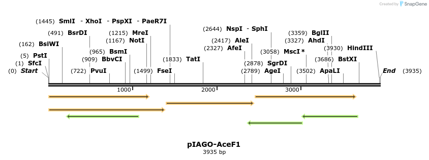 216032_map