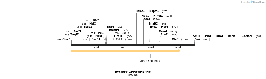 216048_map