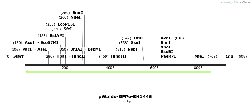 216049_map