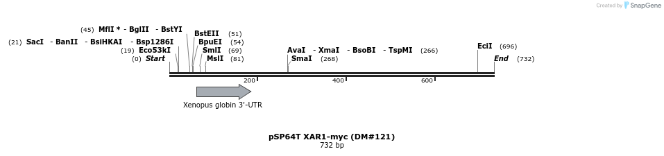 21606_map