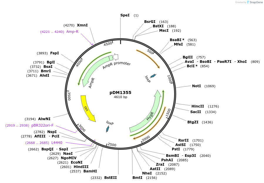 216060_map