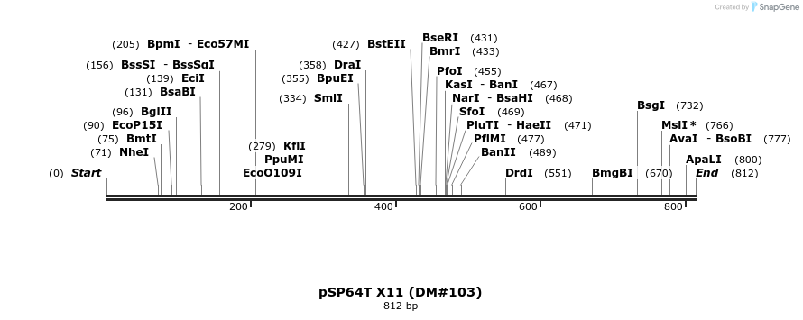 21607_map