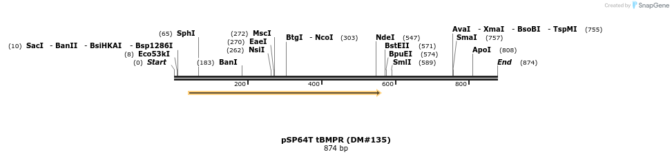 21608_map