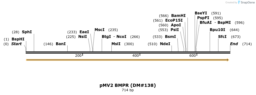 21609_map