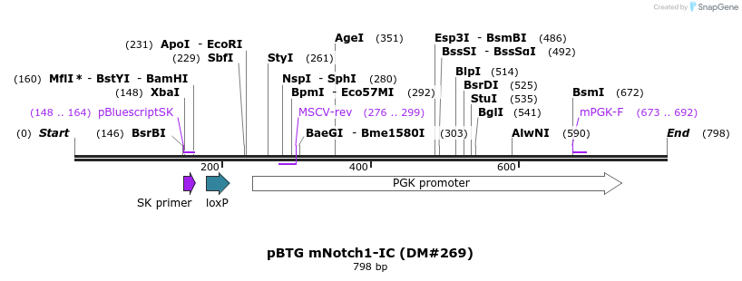 21612_map