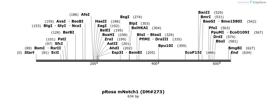 21613_map