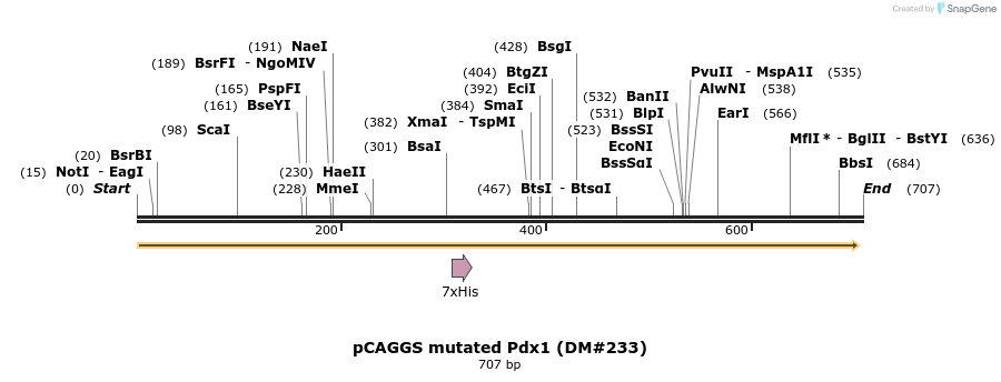 21617_map