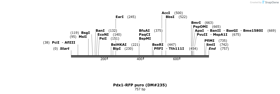 21623_map