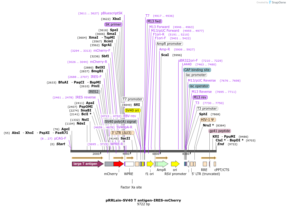 216268_map