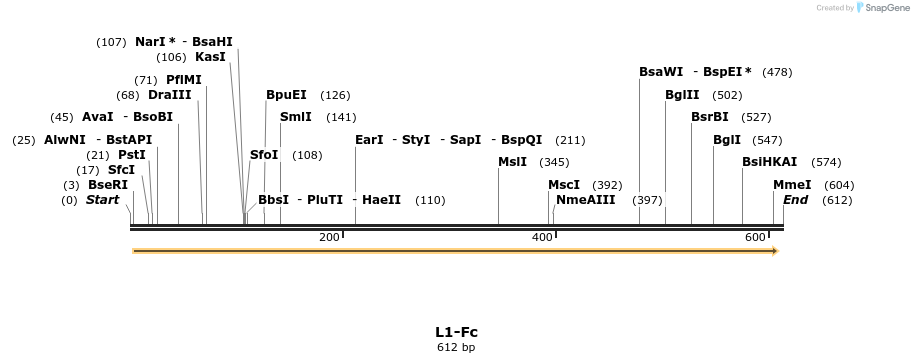 21627_map