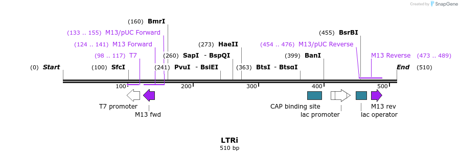 21631_map