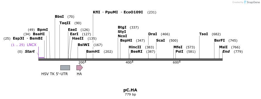 21635_map