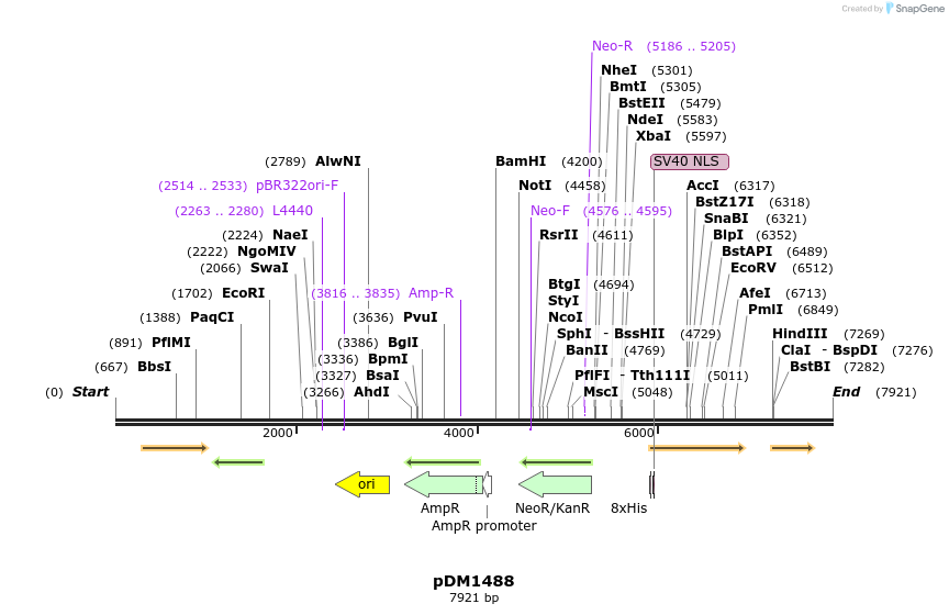 216375_map