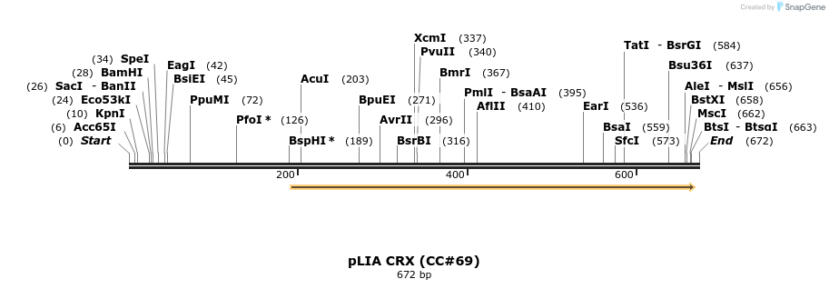 21640_map
