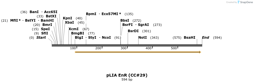 21641_map
