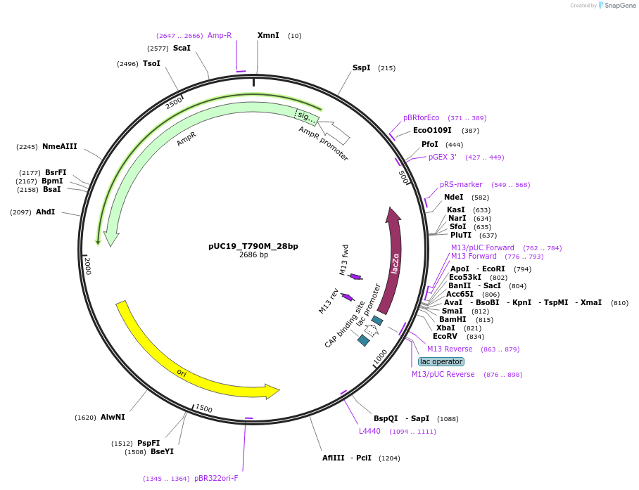 216426_map