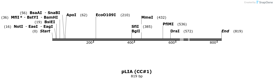 21643_map