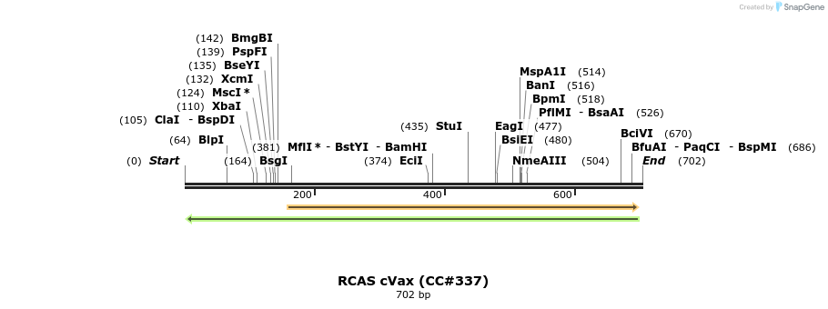 21651_map