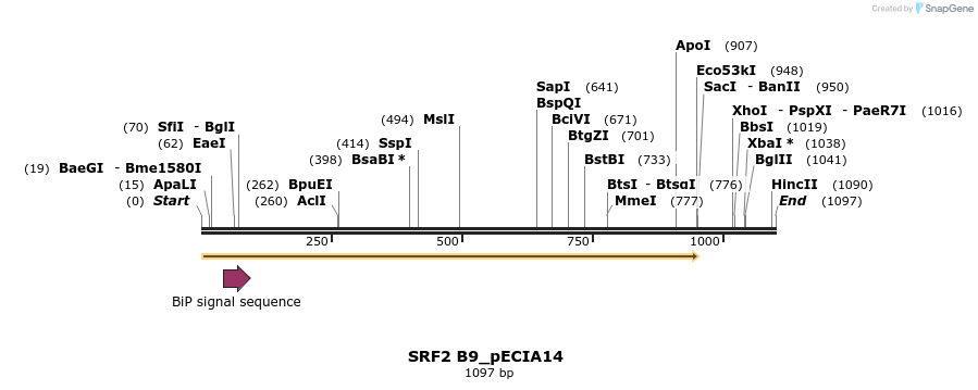 216535_map
