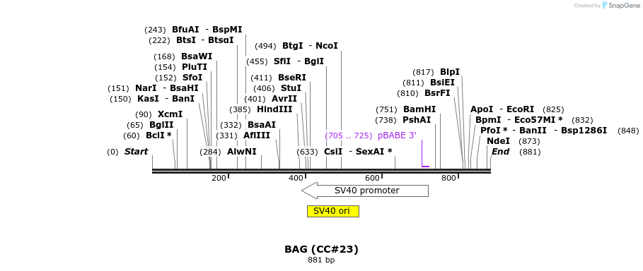 21654_map