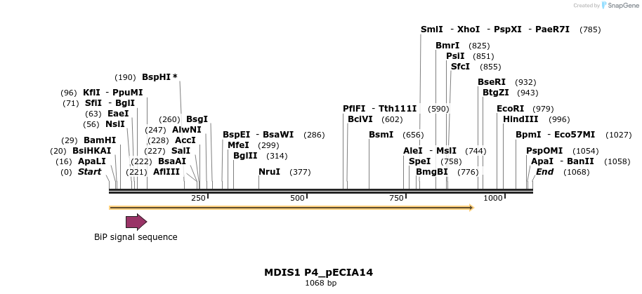 216543_map