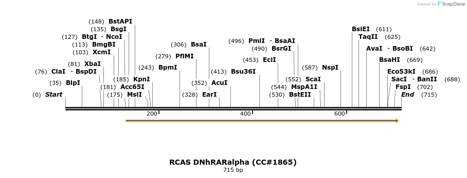 21656_map