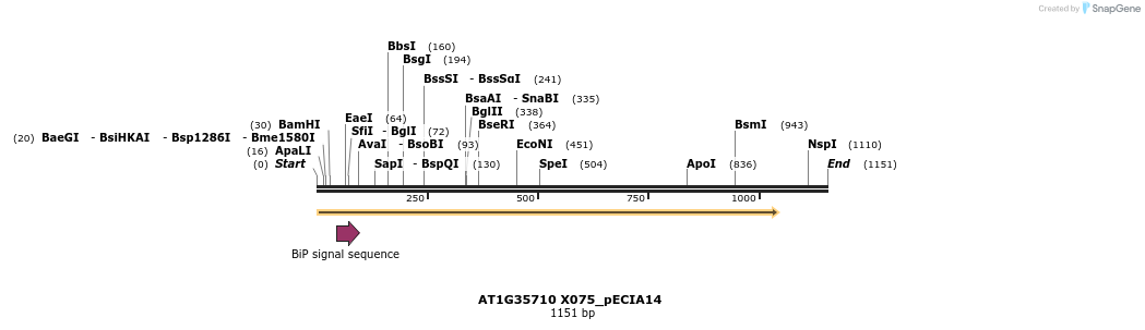 216599_map