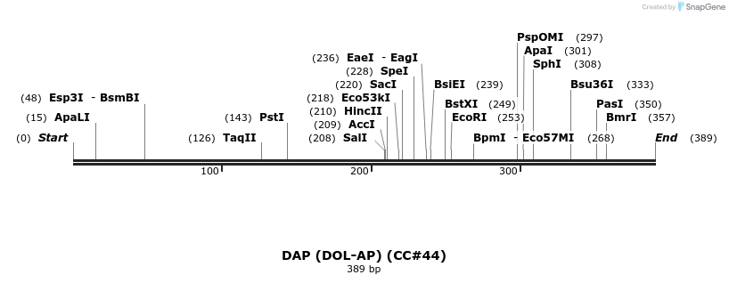 21661_map