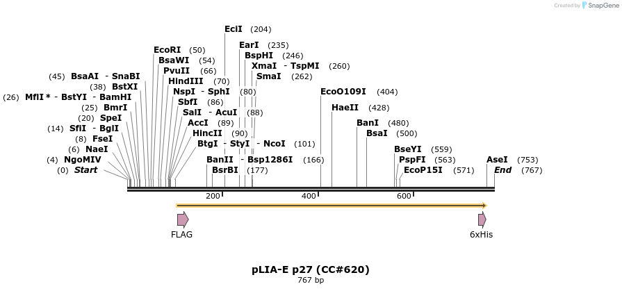 21663_map