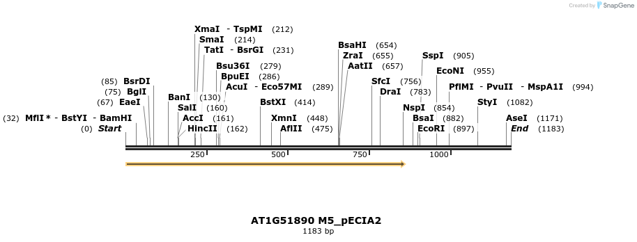 216646_map