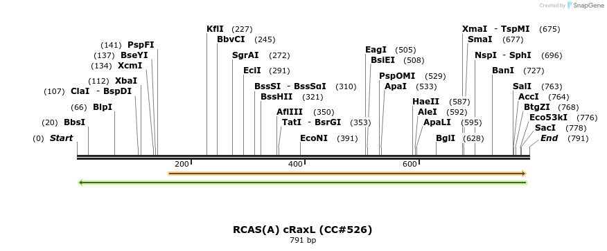 21665_map