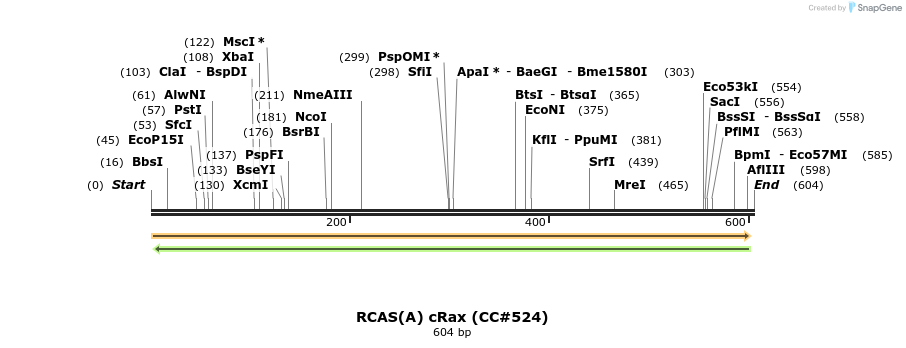21666_map