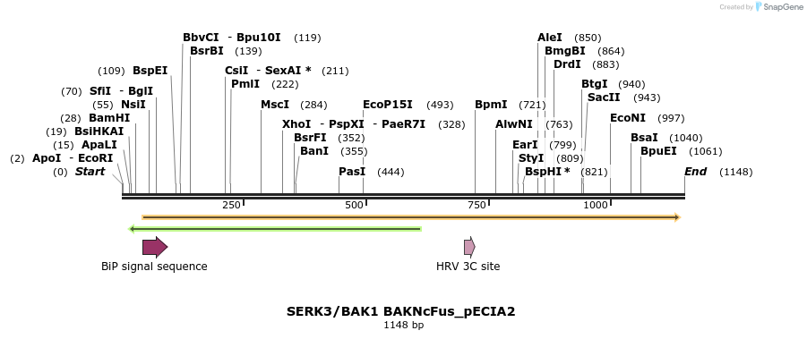 216677_map