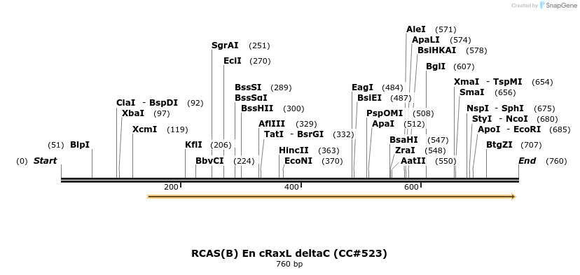 21668_map