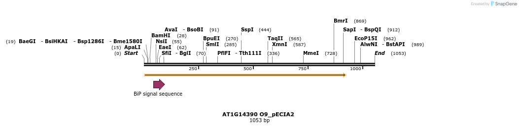 216737_map