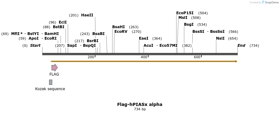 21676_map