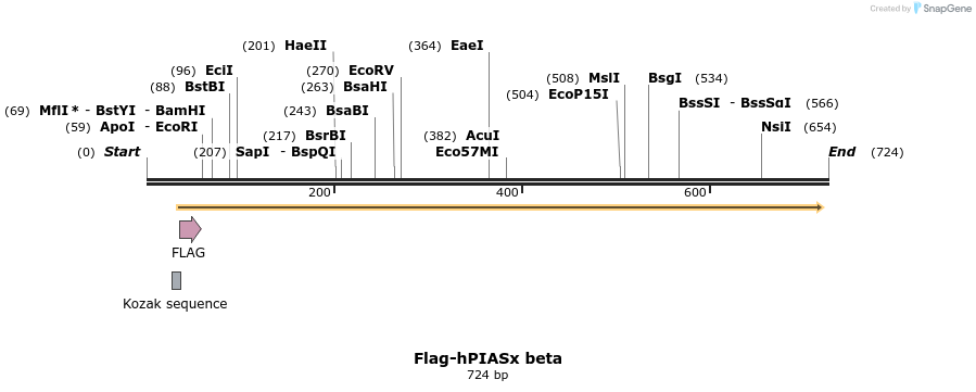 21677_map