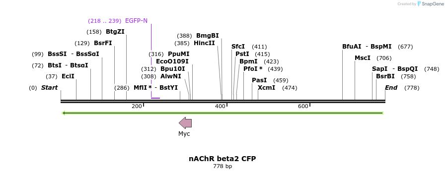 21680_map