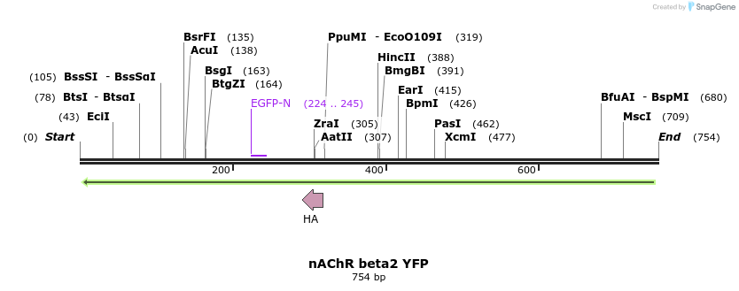 21681_map