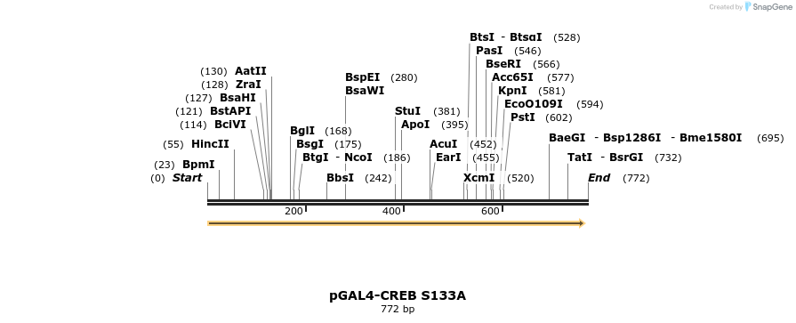 21686_map