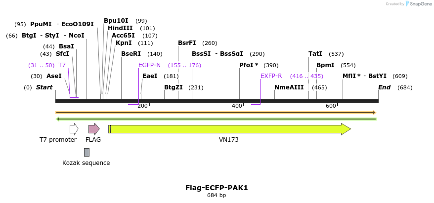 21687_map