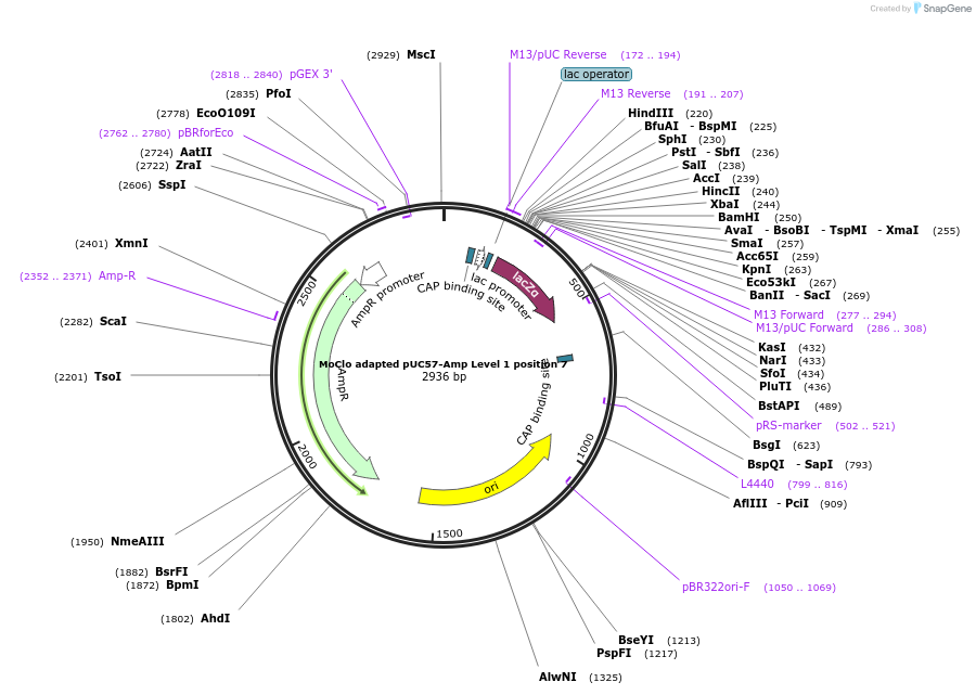 216900_map