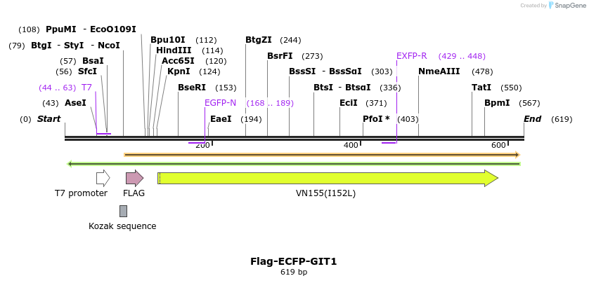 21700_map