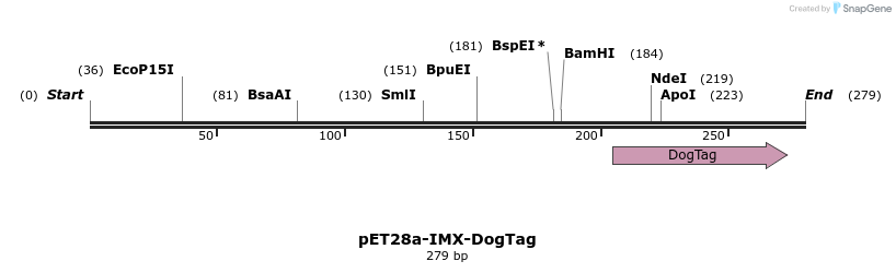217002_map