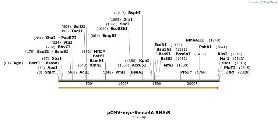 217007_map